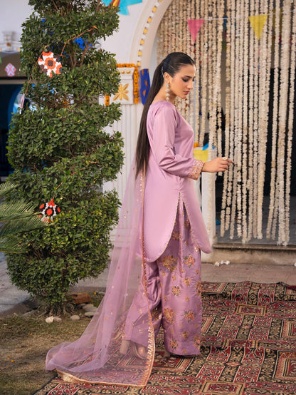 Silk Farshi Paired with Short Shirt