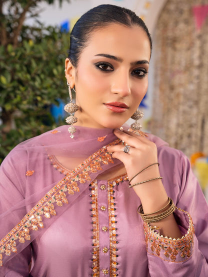 Silk Farshi Paired with Short Shirt