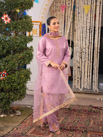 Silk Farshi Paired with Short Shirt