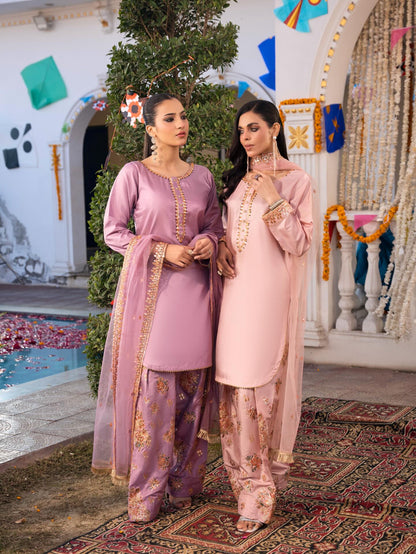 Silk Farshi Paired with Short Shirt